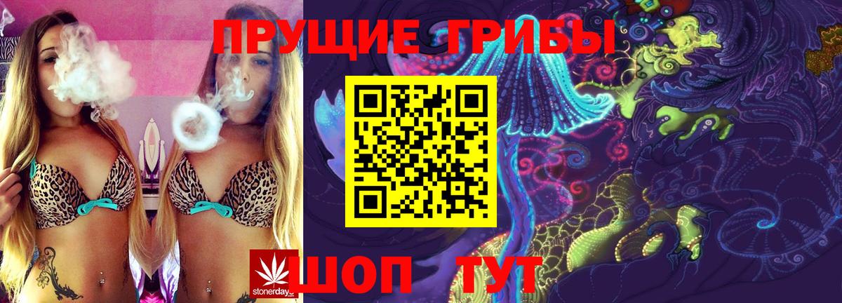 Северск  Галлюциногенные грибы Magic Shrooms  Вход с VPN  Псилоцибиновые грибы прущие грибы 